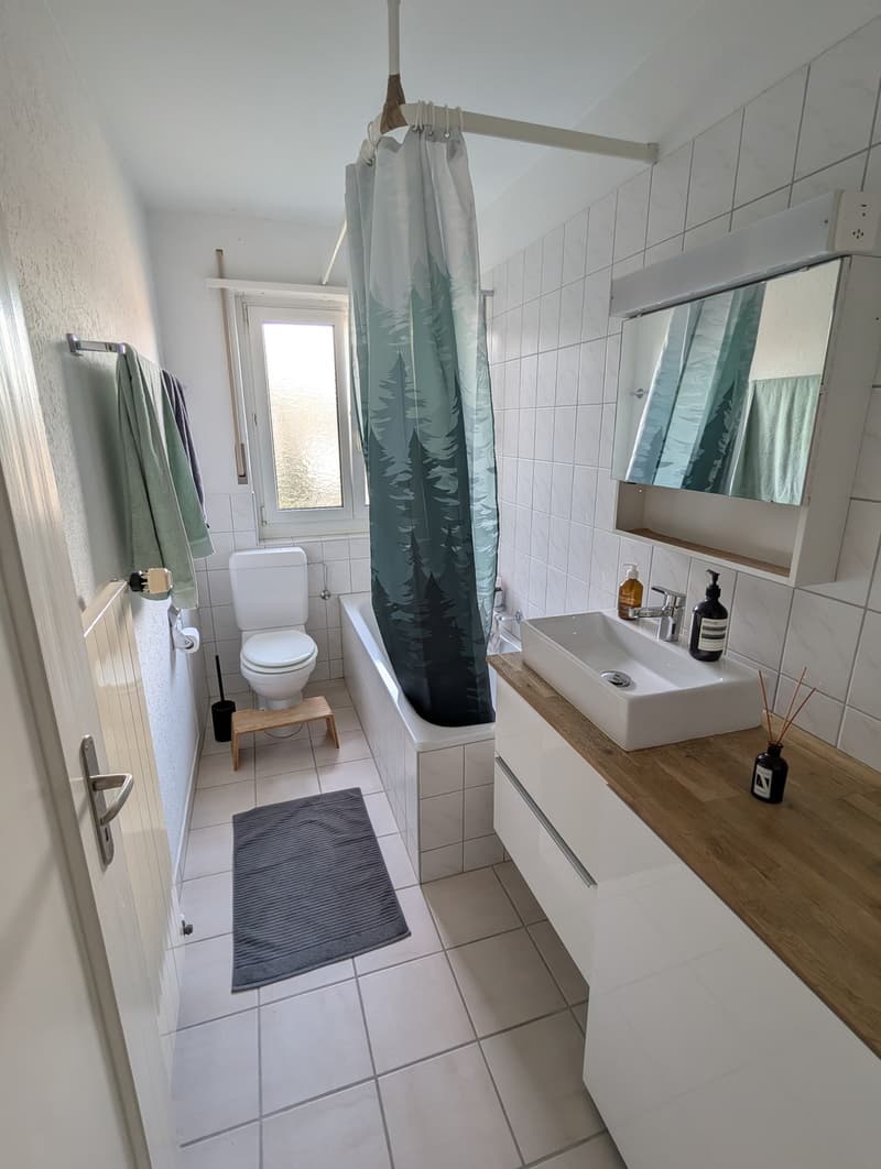 Helle 3.5-Zimmer-Wohnung in Zürich-Schwamendingen (Befristet auf 1 Jahr, unmöbliert) / Bright 3.5-room apartment in Zurich-Schwamendingen (1-year fixed term, unfurnished) (3)