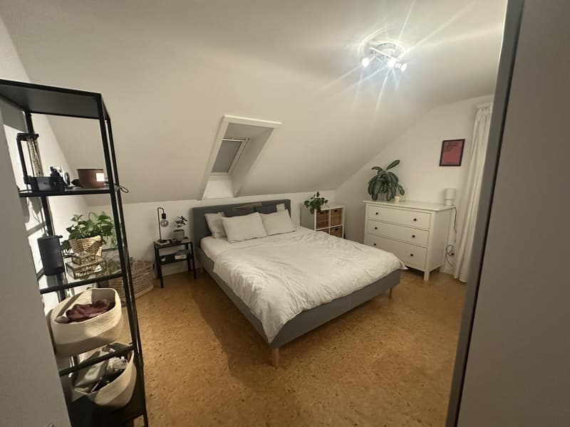 2 Zimmer-Wohnung, 8500 Frauenfeld (8)