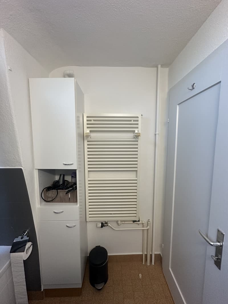 2 Zimmer-Wohnung, 8500 Frauenfeld (3)