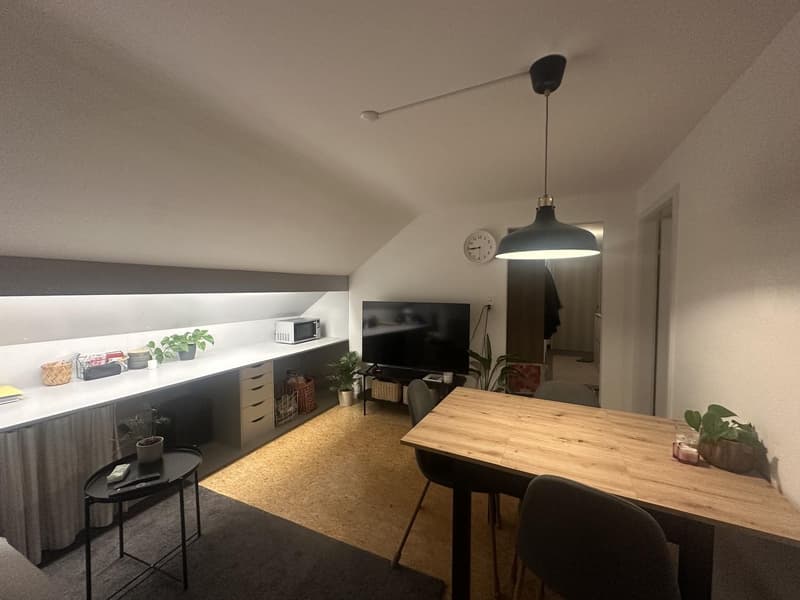 2 Zimmer-Wohnung, 8500 Frauenfeld (7)