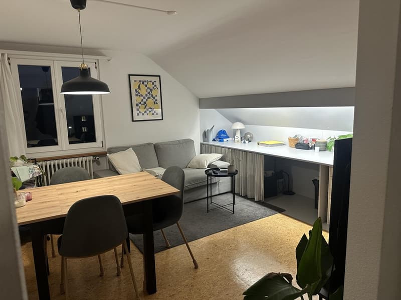 2 Zimmer-Wohnung, 8500 Frauenfeld (6)