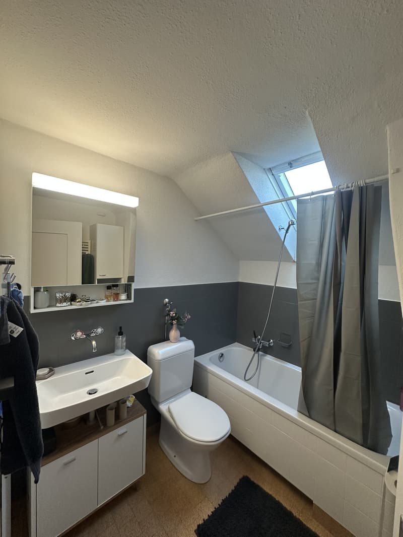 2 Zimmer-Wohnung, 8500 Frauenfeld (2)