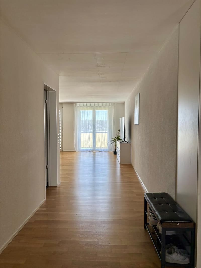 Grosszügige möblierte 2.5-Zimmer-Wohnung | 113 m² | 2 Balkone | Dübendorf | Befristet Feb.Juni 2027 (6)