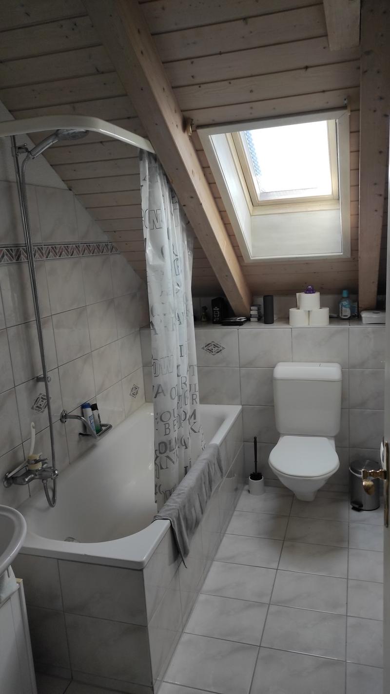 3Zimmer Dachwohnung zentral (11)
