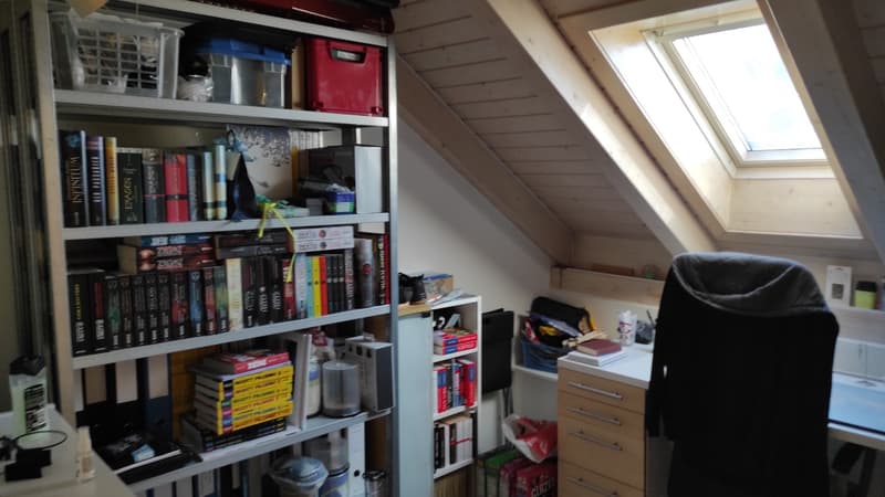 3Zimmer Dachwohnung zentral (7)