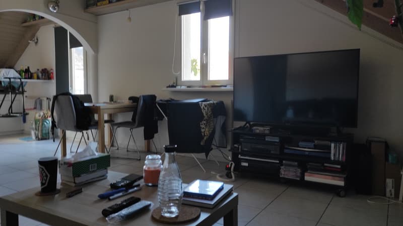 3Zimmer Dachwohnung zentral (3)