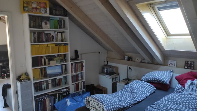 3Zimmer Dachwohnung zentral (9)