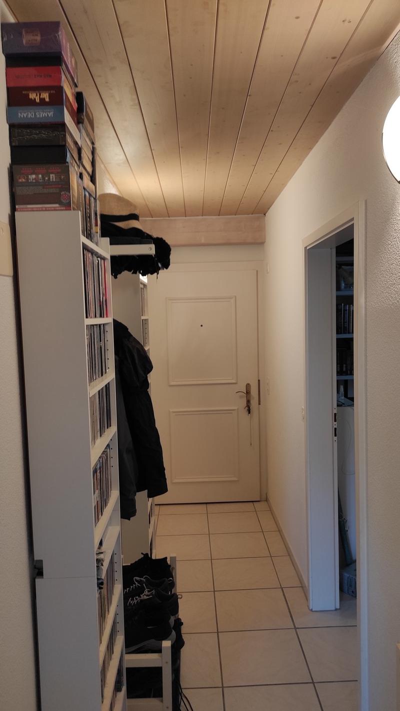 3Zimmer Dachwohnung zentral (8)