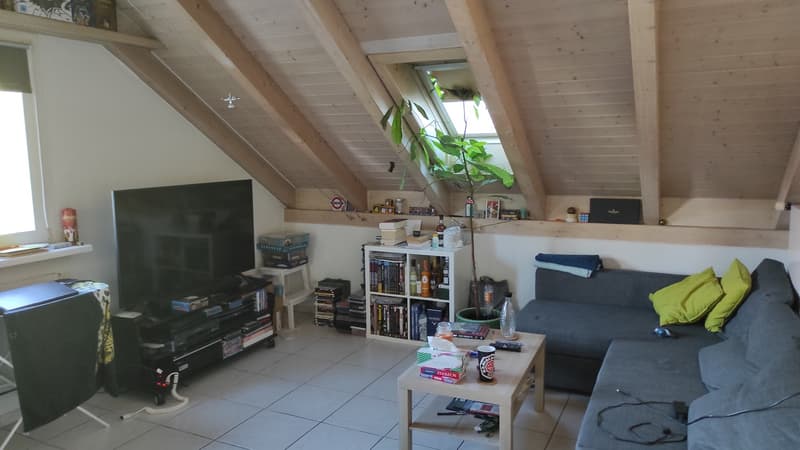 3Zimmer Dachwohnung zentral (1)