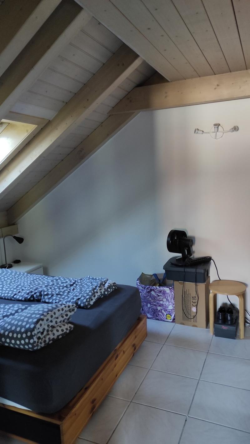 3Zimmer Dachwohnung zentral (10)
