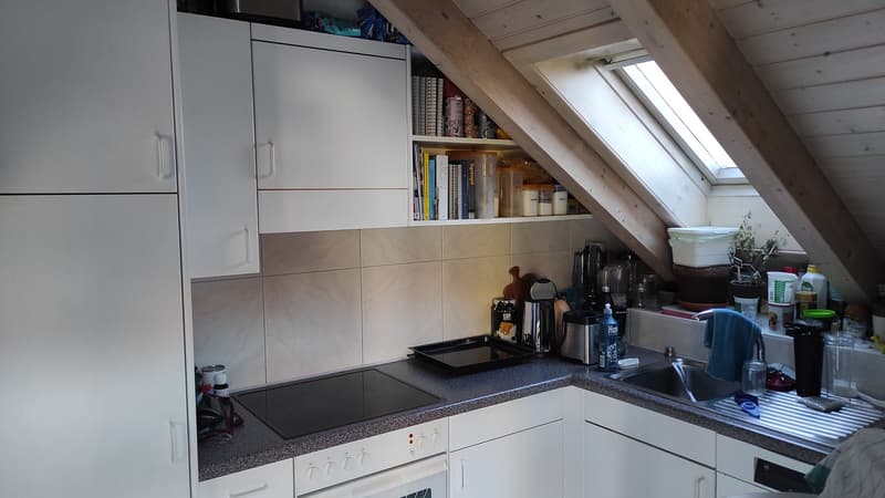 3Zimmer Dachwohnung zentral (5)
