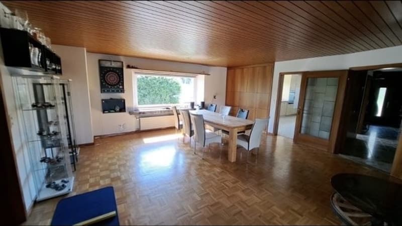 WG Gspänli gesucht (5)