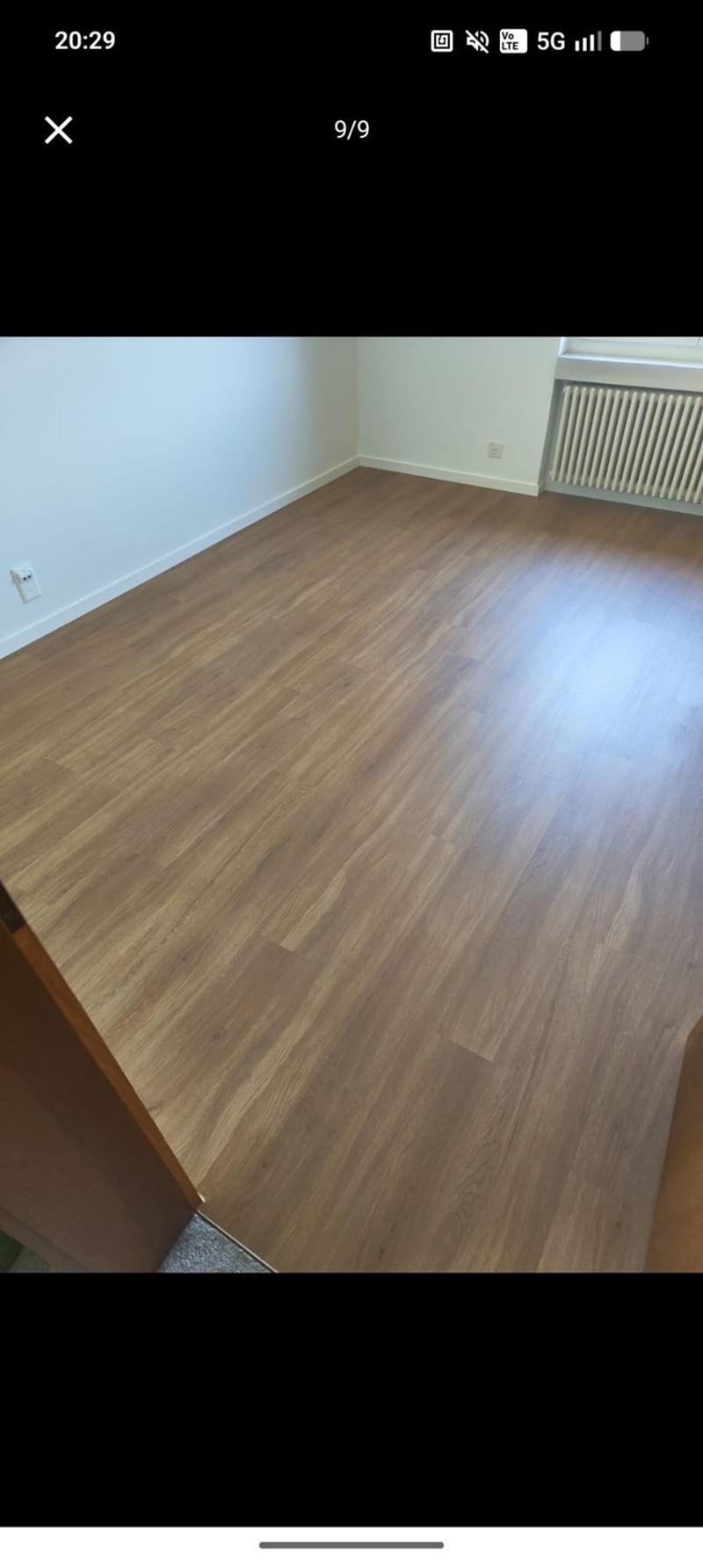 WG Gspänli gesucht (8)