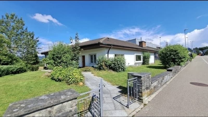 WG Gspänli gesucht (2)