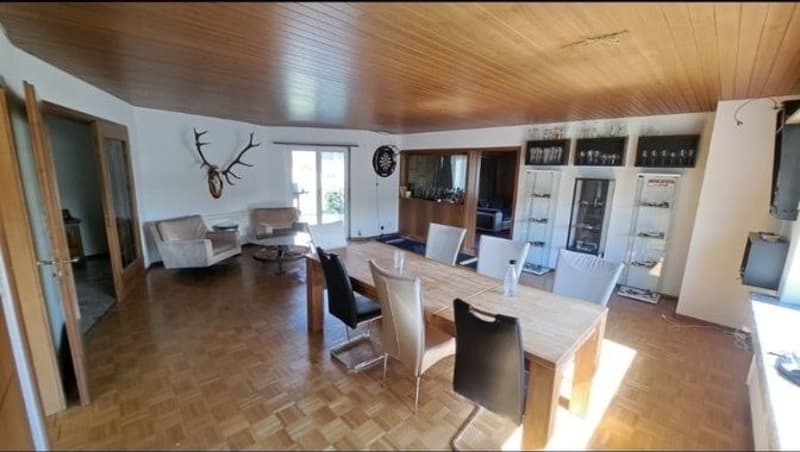 WG Gspänli gesucht (1)