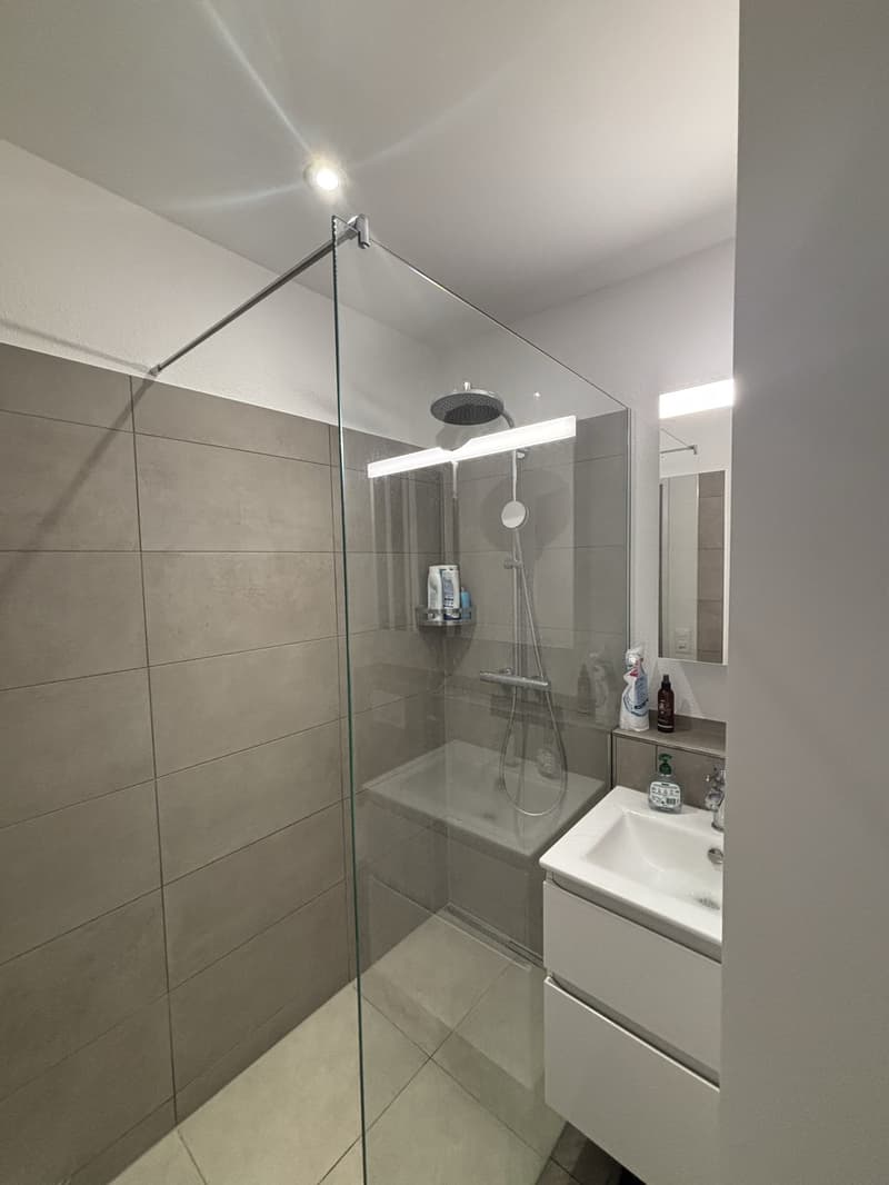Nachmieter gesucht 1.5-room studio in Kreis 4, 1 min to Stauffacher (4)