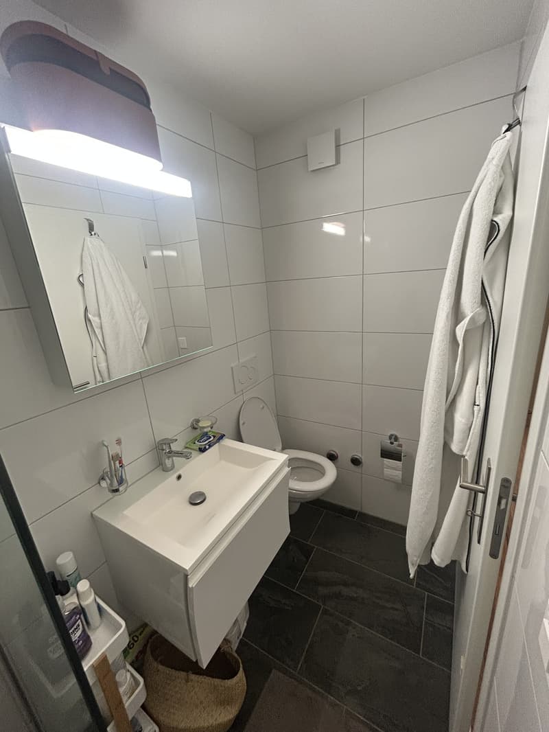 Schöne helle 2½-Zimmer-Wohnung (11)