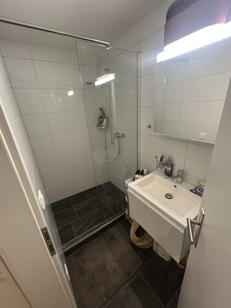 Schöne helle 2½-Zimmer-Wohnung (10)