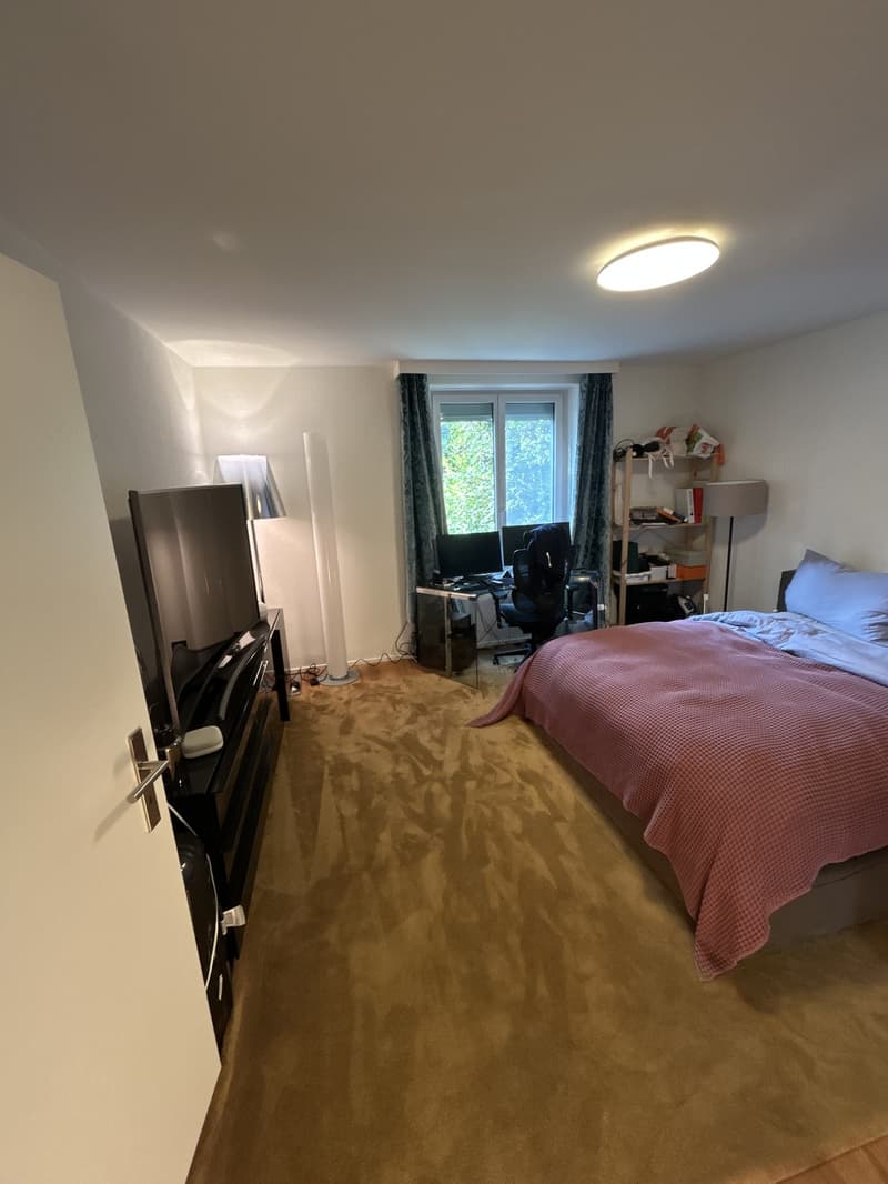 Schöne helle 2½-Zimmer-Wohnung (6)