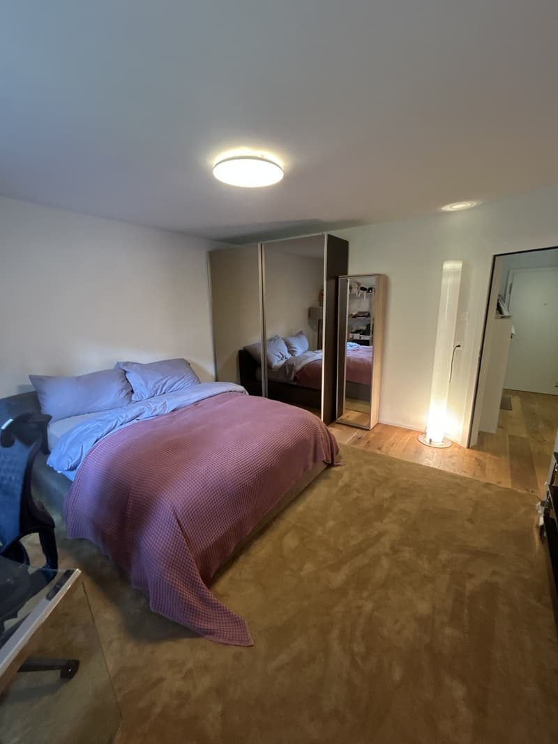 Schöne helle 2½-Zimmer-Wohnung (7)