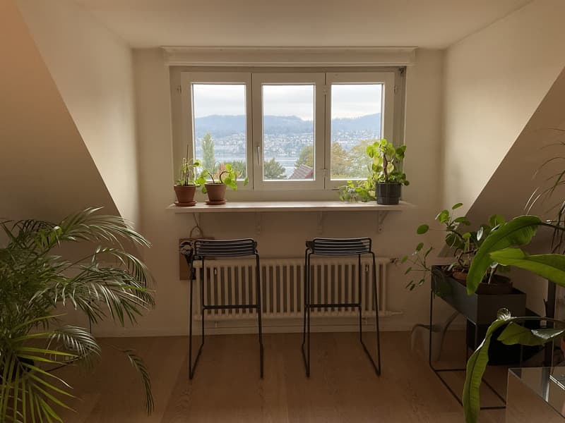 3 1/2 Zimmer Wohnung mit spektakulärer Seesicht (1)