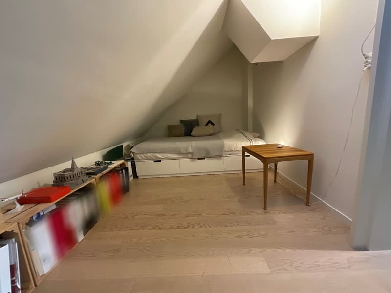 3 1/2 Zimmer Wohnung mit spektakulärer Seesicht (8)
