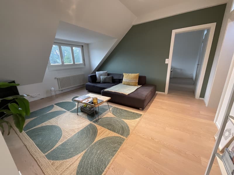 3 1/2 Zimmer Wohnung mit spektakulärer Seesicht (6)