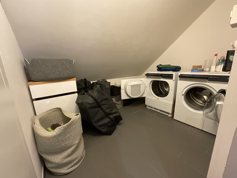 3 1/2 Zimmer Wohnung mit spektakulärer Seesicht (10)
