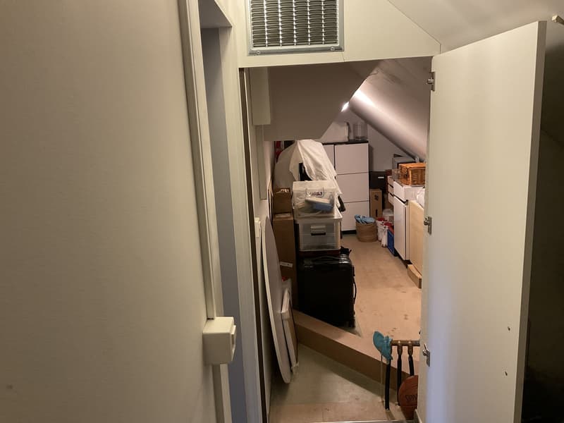 3 1/2 Zimmer Wohnung mit spektakulärer Seesicht (11)