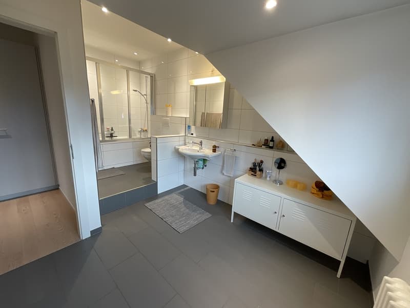 3 1/2 Zimmer Wohnung mit spektakulärer Seesicht (9)