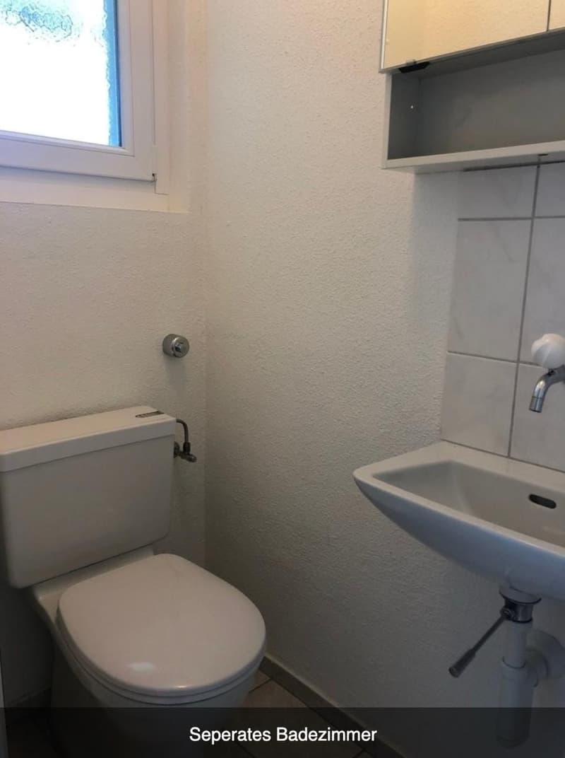 Wohnung in familienfreundlichen Wollishofen zu vermieten (10)