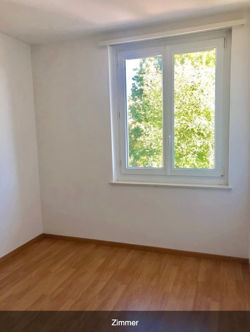 Wohnung in familienfreundlichen Wollishofen zu vermieten (1)