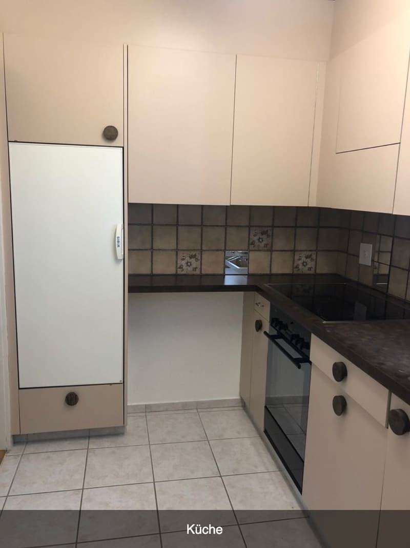 Wohnung in familienfreundlichen Wollishofen zu vermieten (9)