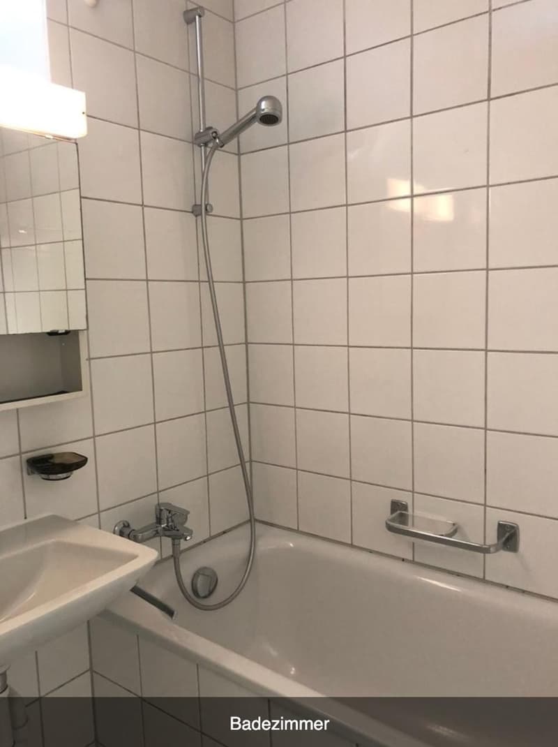 Wohnung in familienfreundlichen Wollishofen zu vermieten (8)