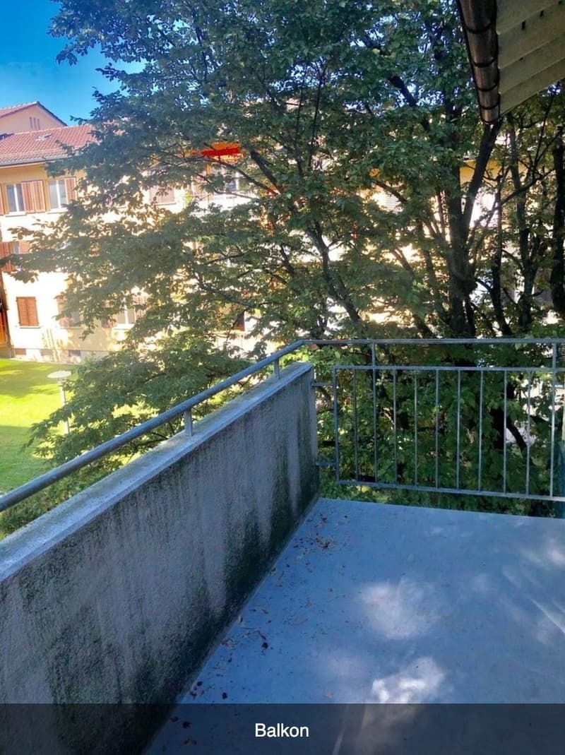 Wohnung in familienfreundlichen Wollishofen zu vermieten (3)