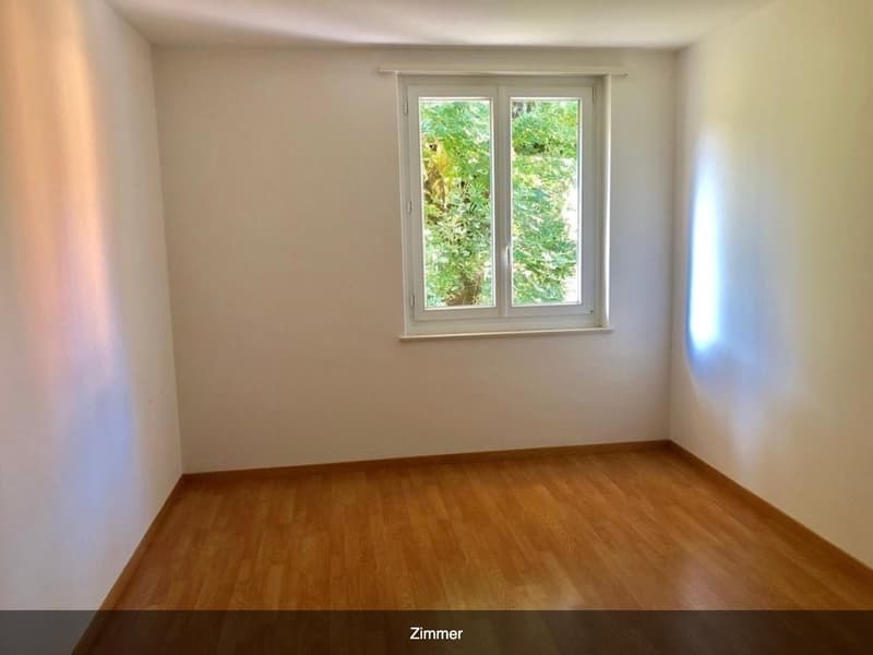 Wohnung in familienfreundlichen Wollishofen zu vermieten (6)