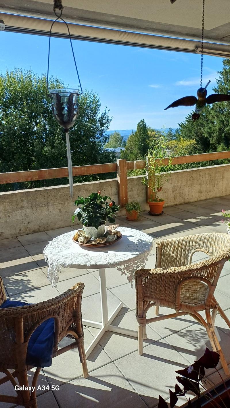 Ruhige 2-Zimmer Wohnung im Grünen mit grosser Terrasse (3)
