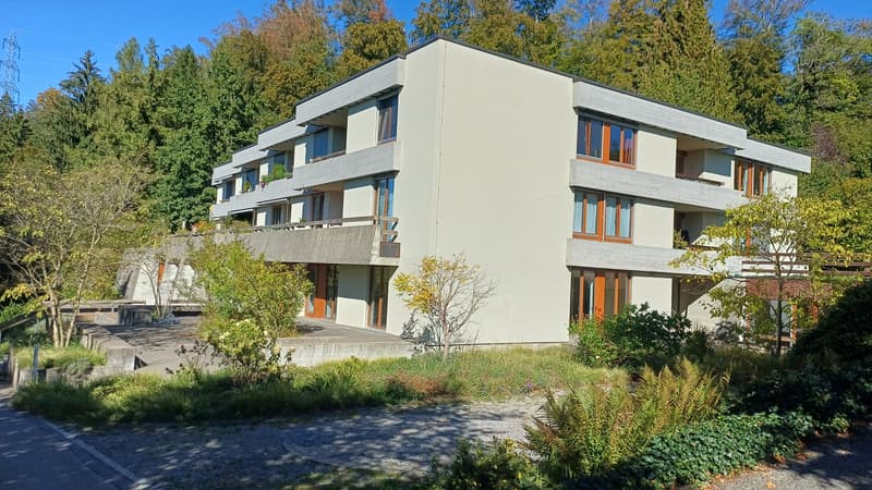 Ruhige 2-Zimmer Wohnung im Grünen mit grosser Terrasse (2)