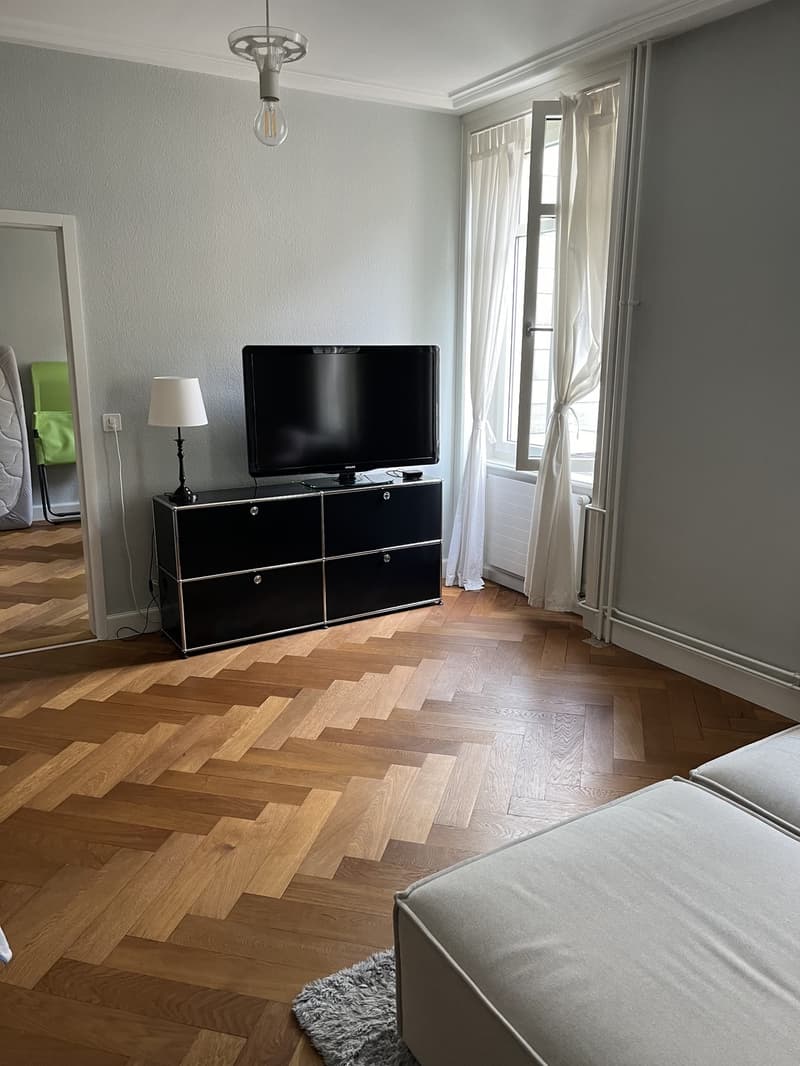 Charmante 3-Zimmer-Altbauwohnung mit Fischgratparkett im Kleinbasel (2)