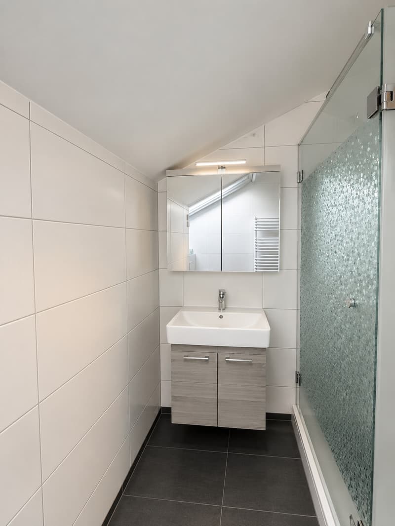 Dachwohnung (7)