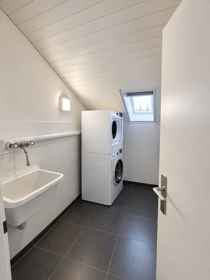 Dachwohnung (3)
