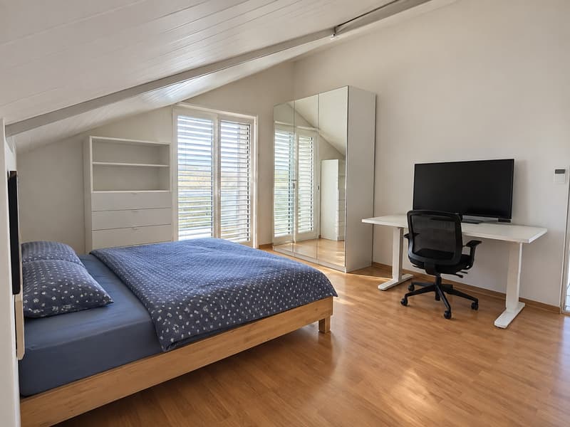 Dachwohnung (5)