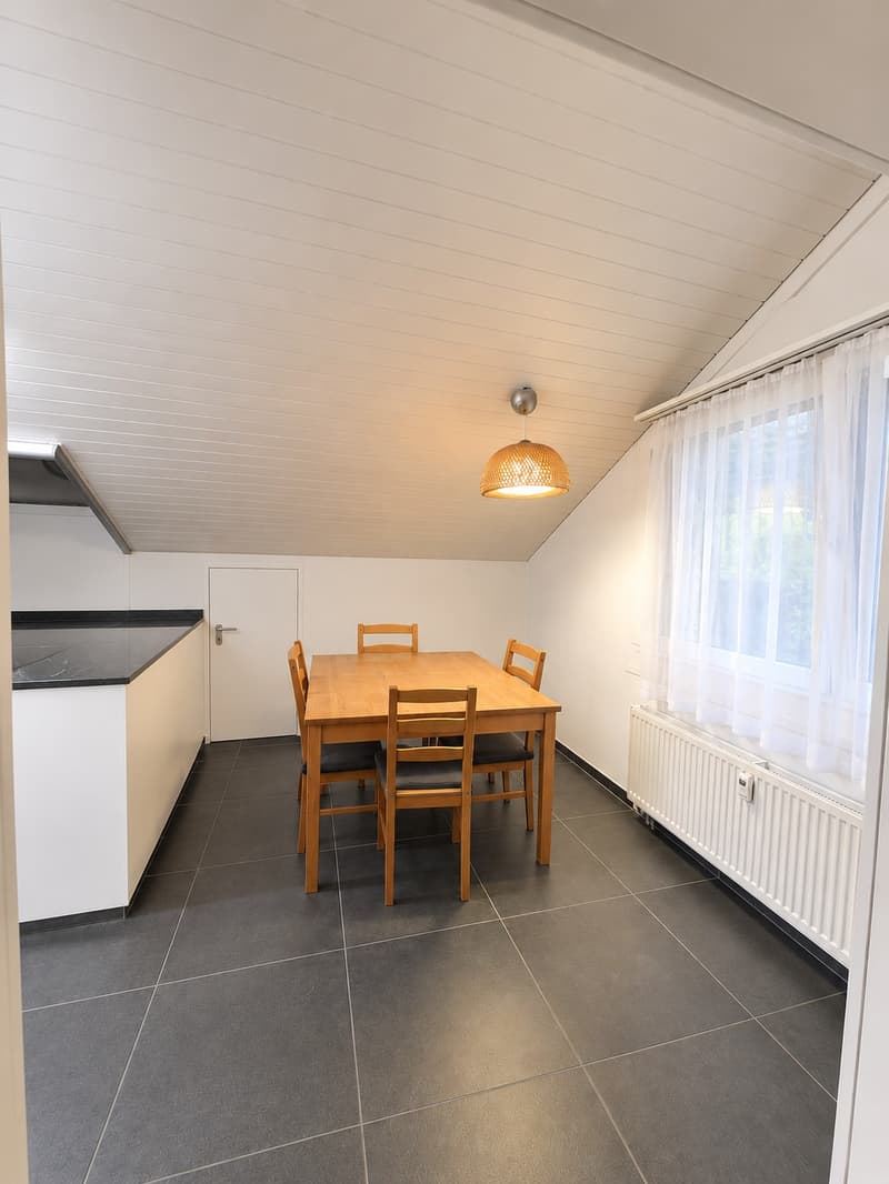 Dachwohnung (10)