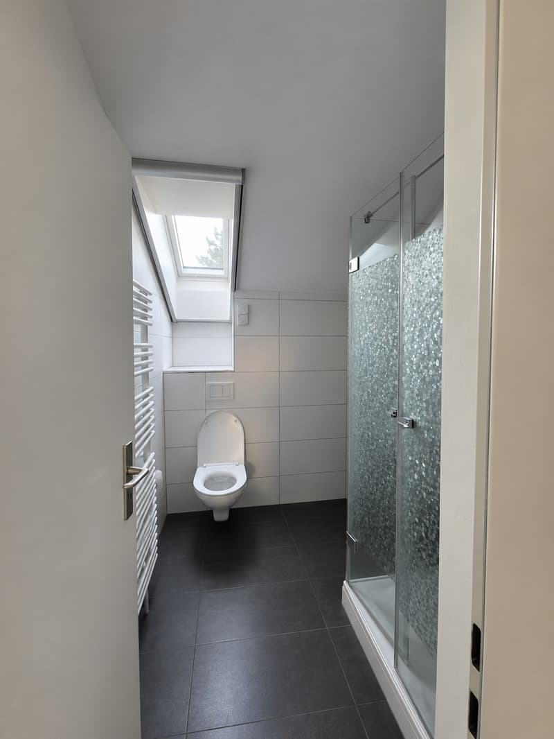 Dachwohnung (9)