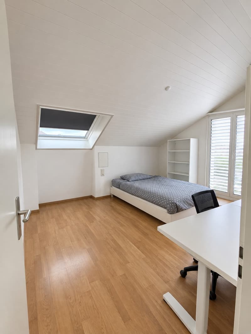 Dachwohnung (12)