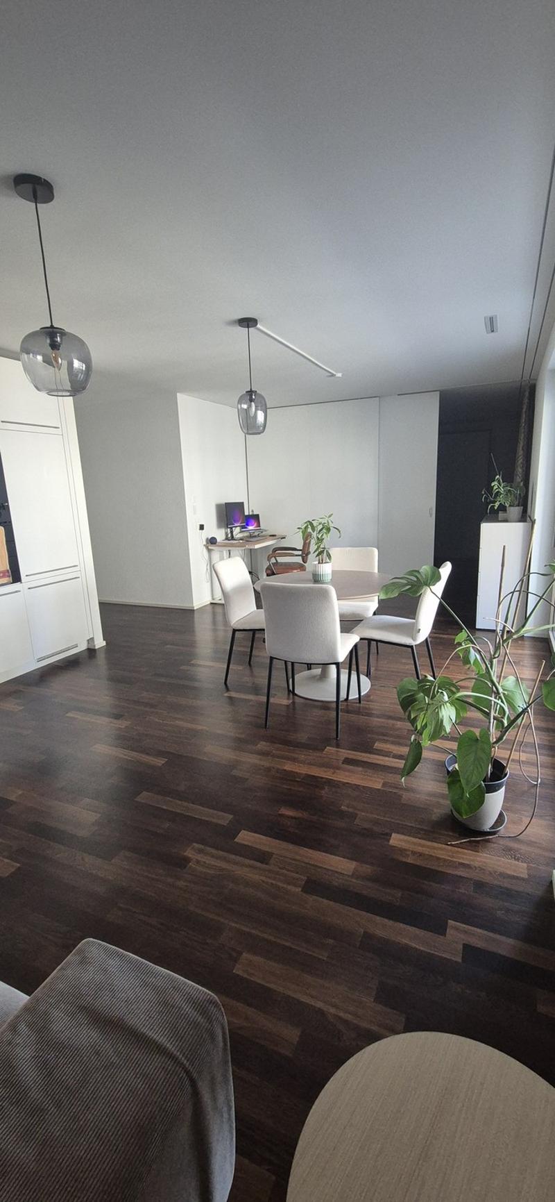 Beautiful flat in kreis 5 (9)