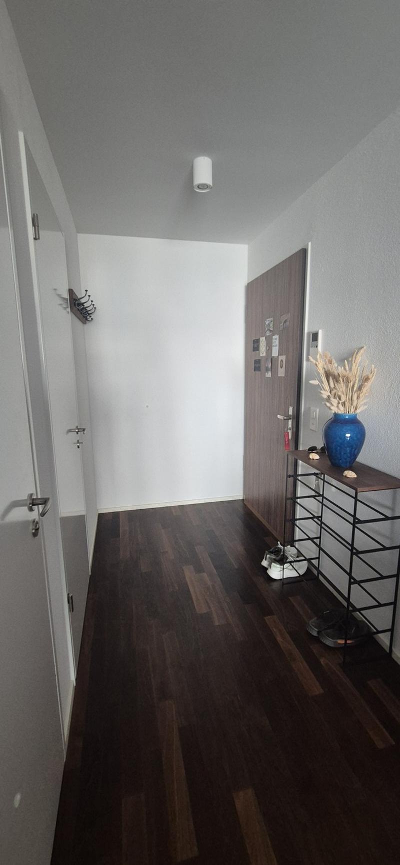 Beautiful flat in kreis 5 (5)