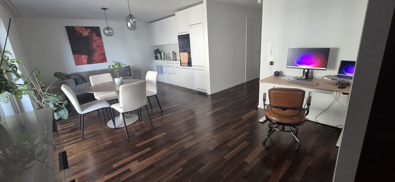 Beautiful flat in kreis 5 (7)