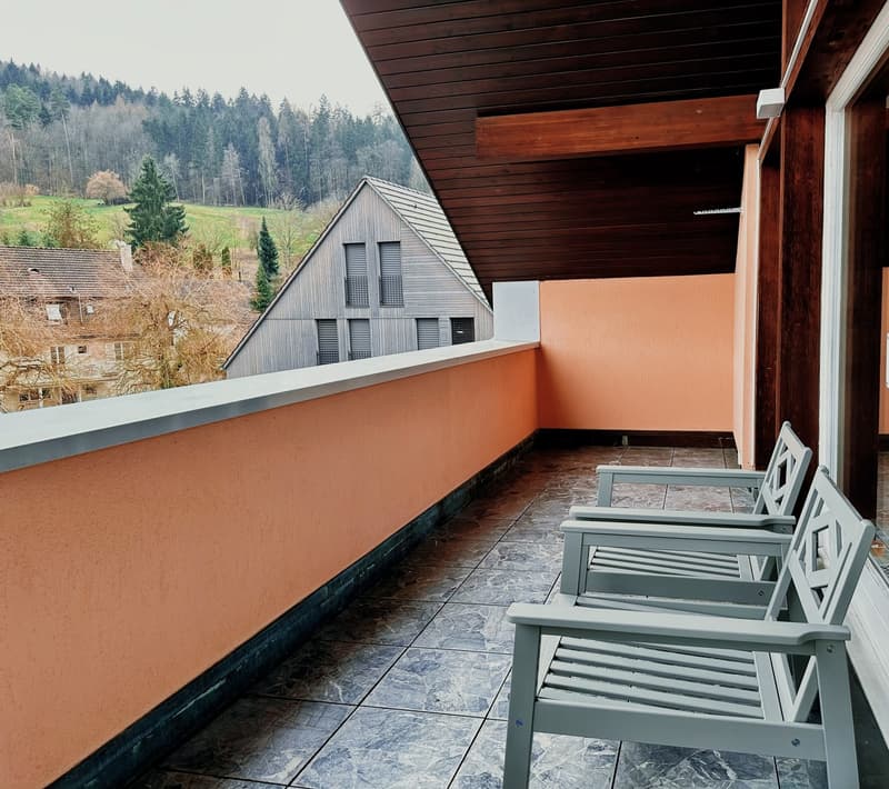 Nachmieter gesucht  Helle 4.5-Zimmer-Wohnung mit grosser Terrasse in Spreitenbach (4)
