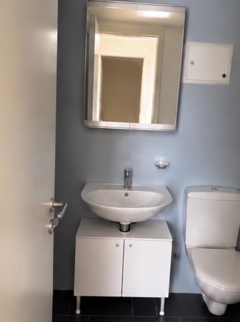 Nachmieter/in gesucht kleine, herzige 1-Zimmer-Wohnung mit Balkon in Zürich (4)